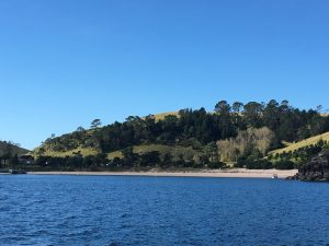 Slipper Island in the Coromandel
